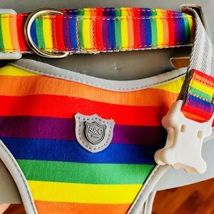 Rainbow coloured leash & harness set for large dog